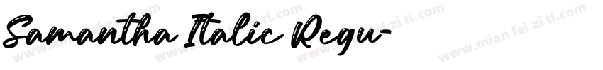 Samantha Italic Regu字体转换